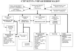 Структура управления МАДОУ "ДС№477 г.Челябинска"
